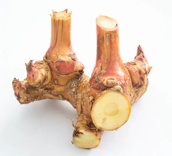 fresh galangal