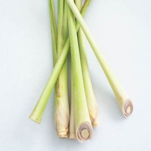 lemongrass