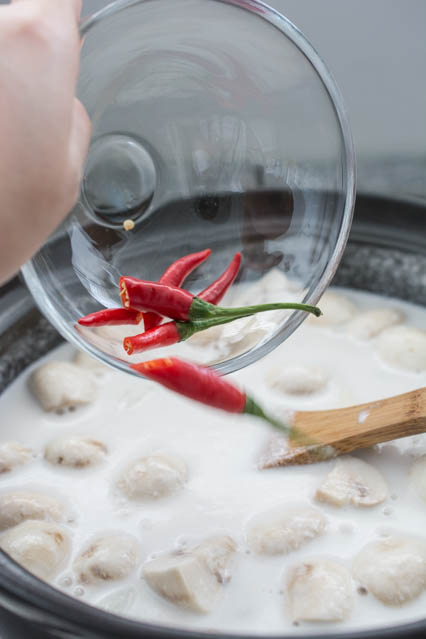 Thai bird chili for tom kha gai