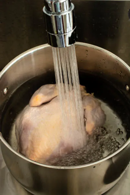 water in stockpot for chicken stock