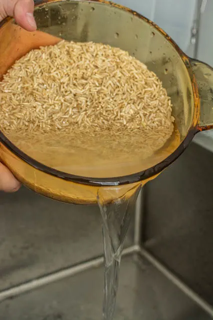 draining brown rice