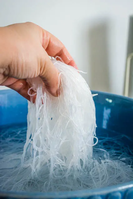 bean thread noodles soaking in water for pad woon sen