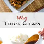 teriyaki chicken long pin