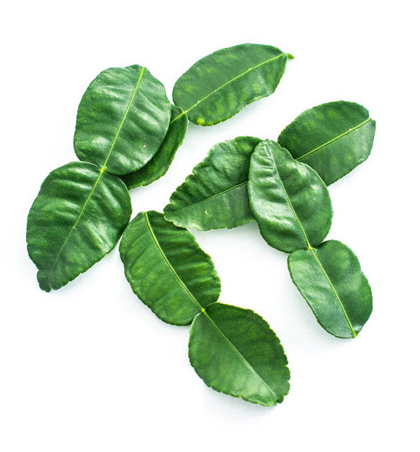 kaffir lime leaves