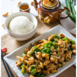 cashew chicken short pin