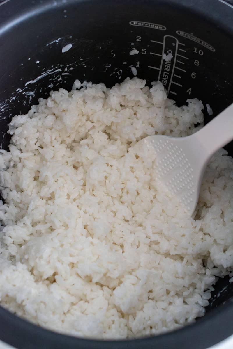 cooked nasi lemak in a rice cooker
