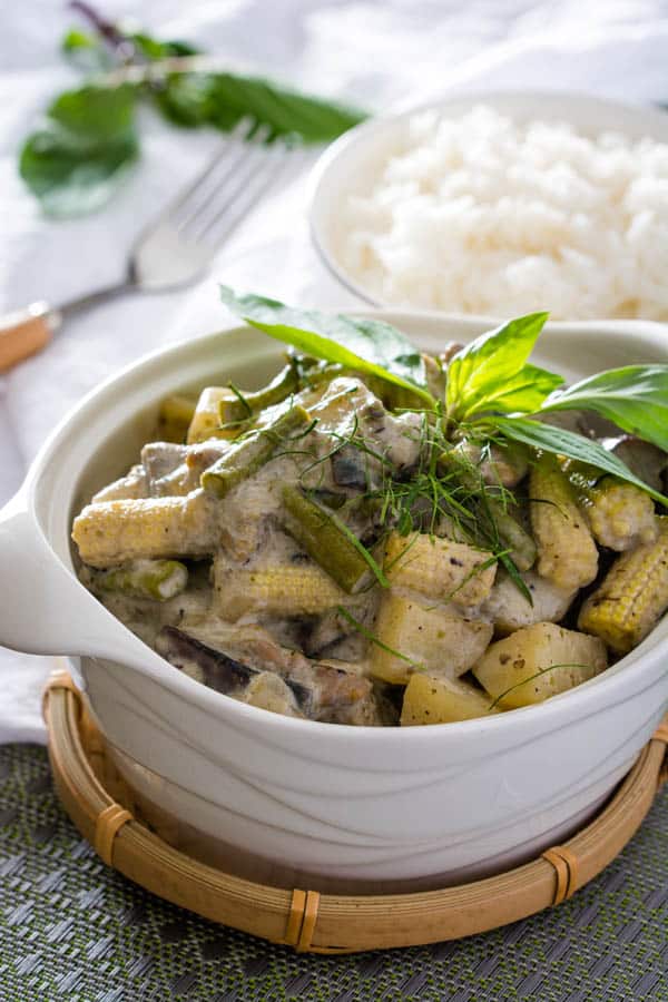 thai green curry closeup