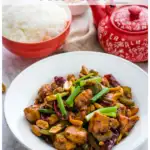 kung pao chicken pin