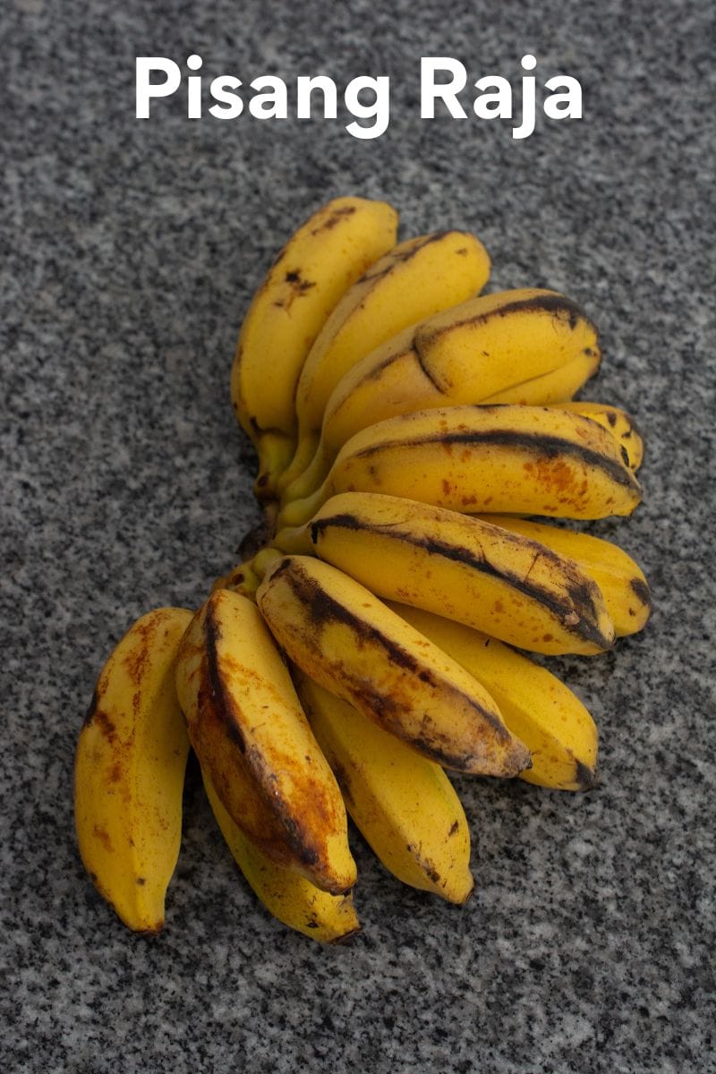 pisang raja