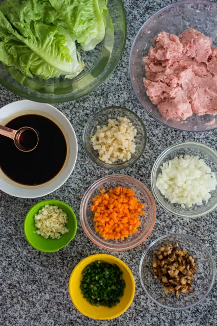 ingredients for pork yuk sung