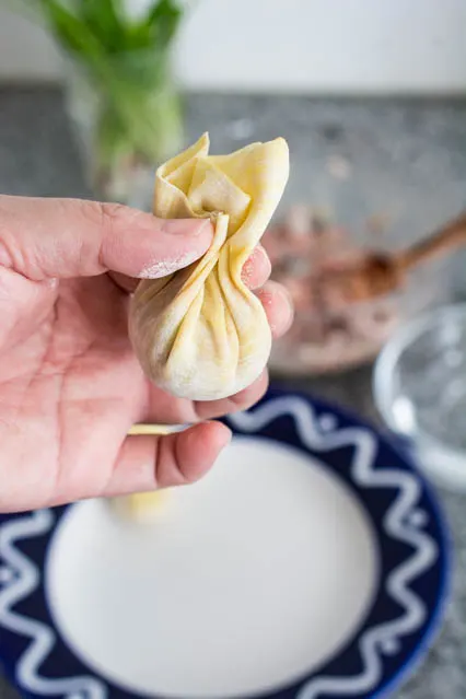 wrapped wonton