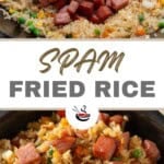 spam fried rice pin